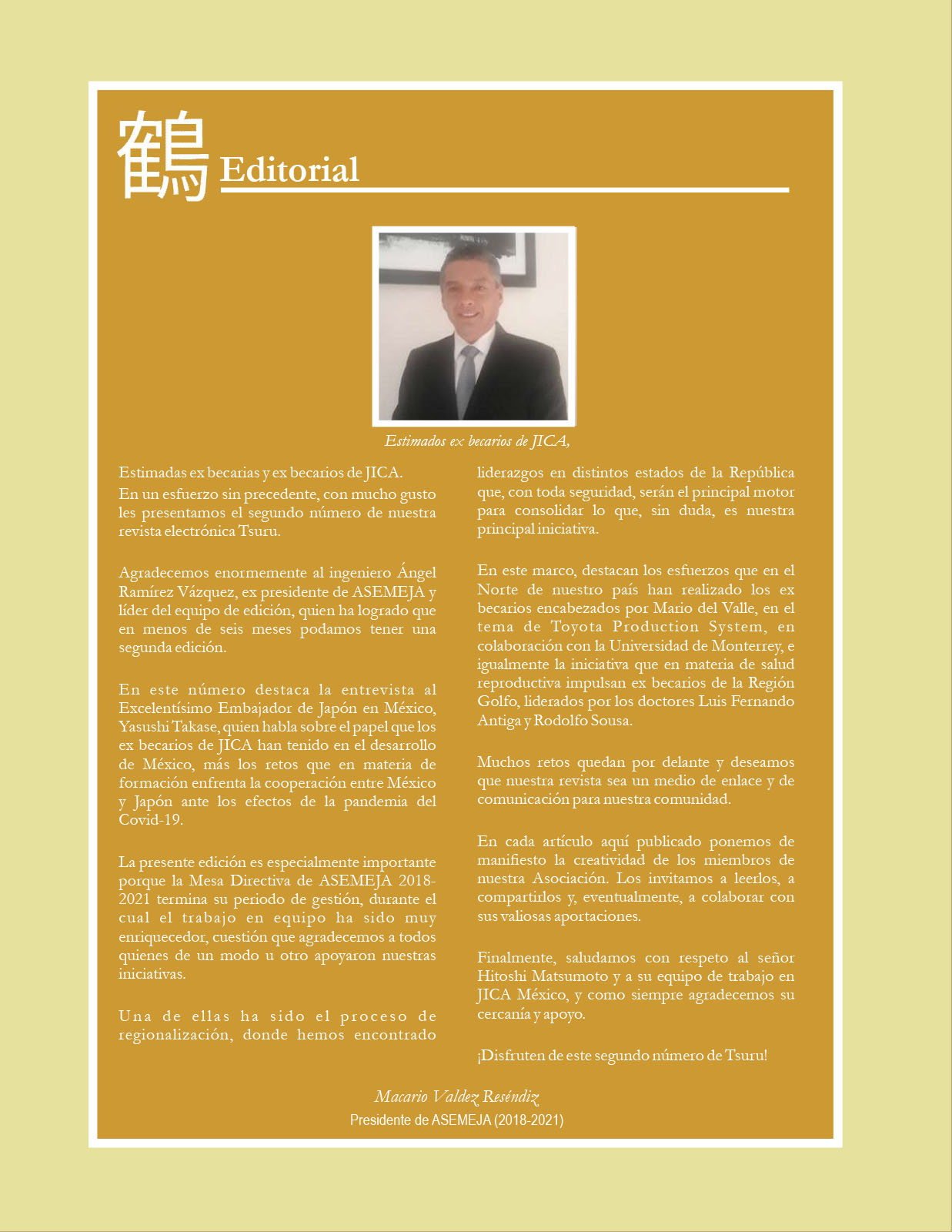 Revista Tsuru 2_B.cdr